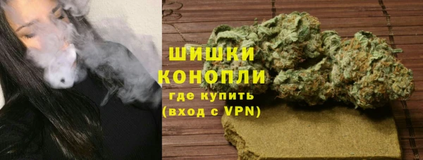 гидра Алексин